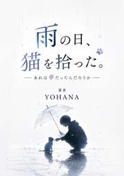 雨の日、猫を拾った。